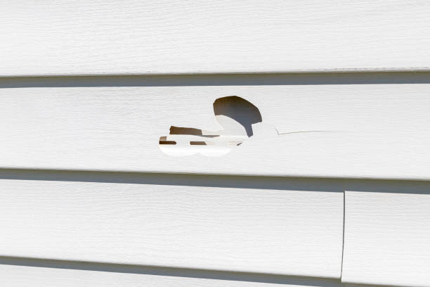 How To Choose The Right Materials for Your Siding Installation in 'Etowah, NC